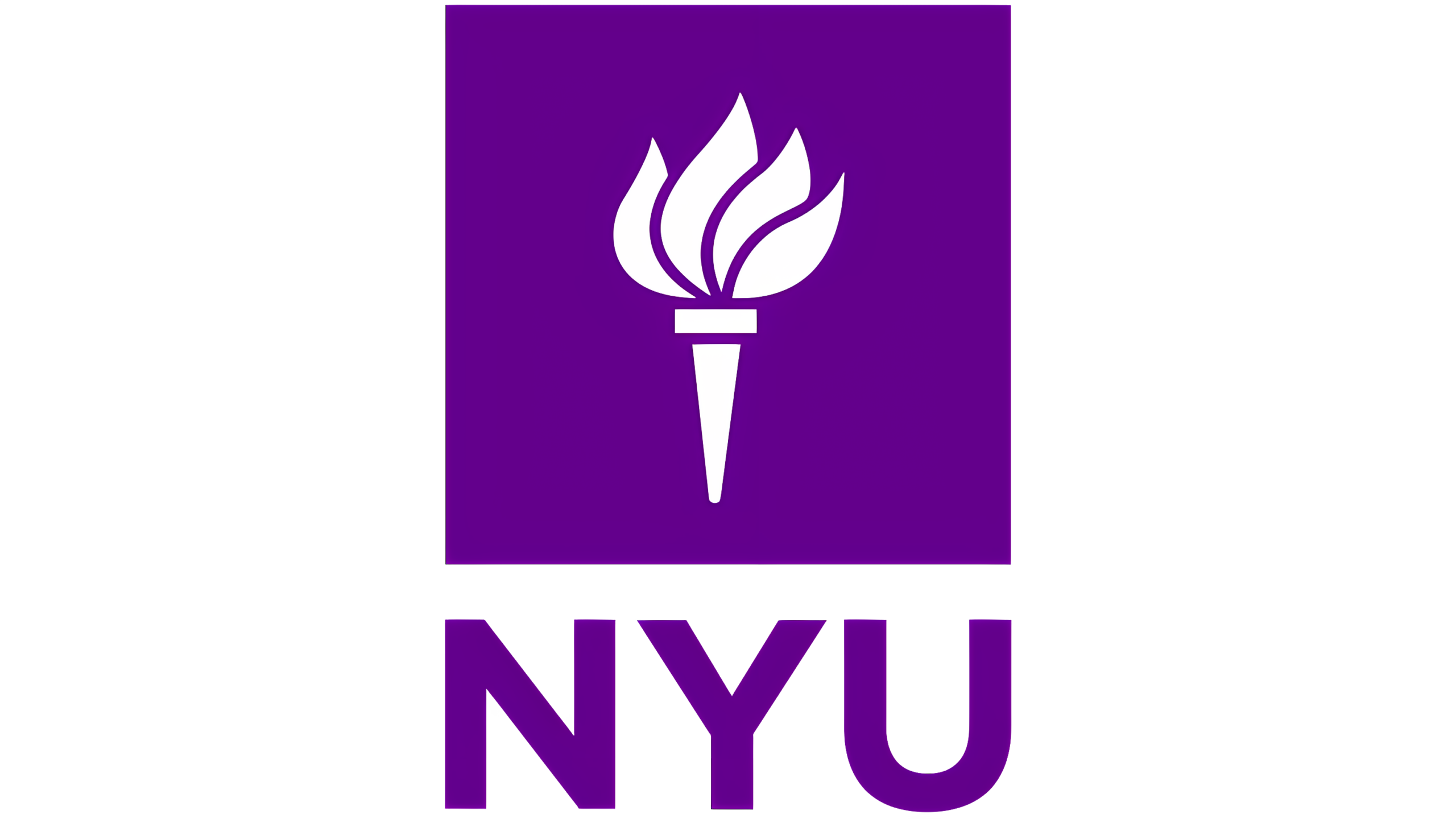 New York University